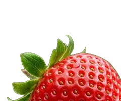 Close crop of the strawberry leaf edge from the transparent PNG